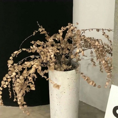 槐荫福瑞交流群